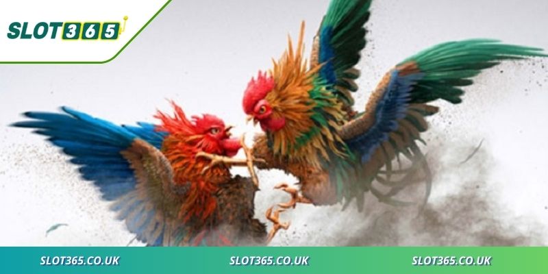 Trải nghiệm mới mẻ với tốc độ công nghệ vượt trội