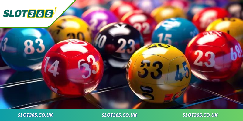 Vận hành hợp pháp với giấy phép quốc tế đáng tin cậy